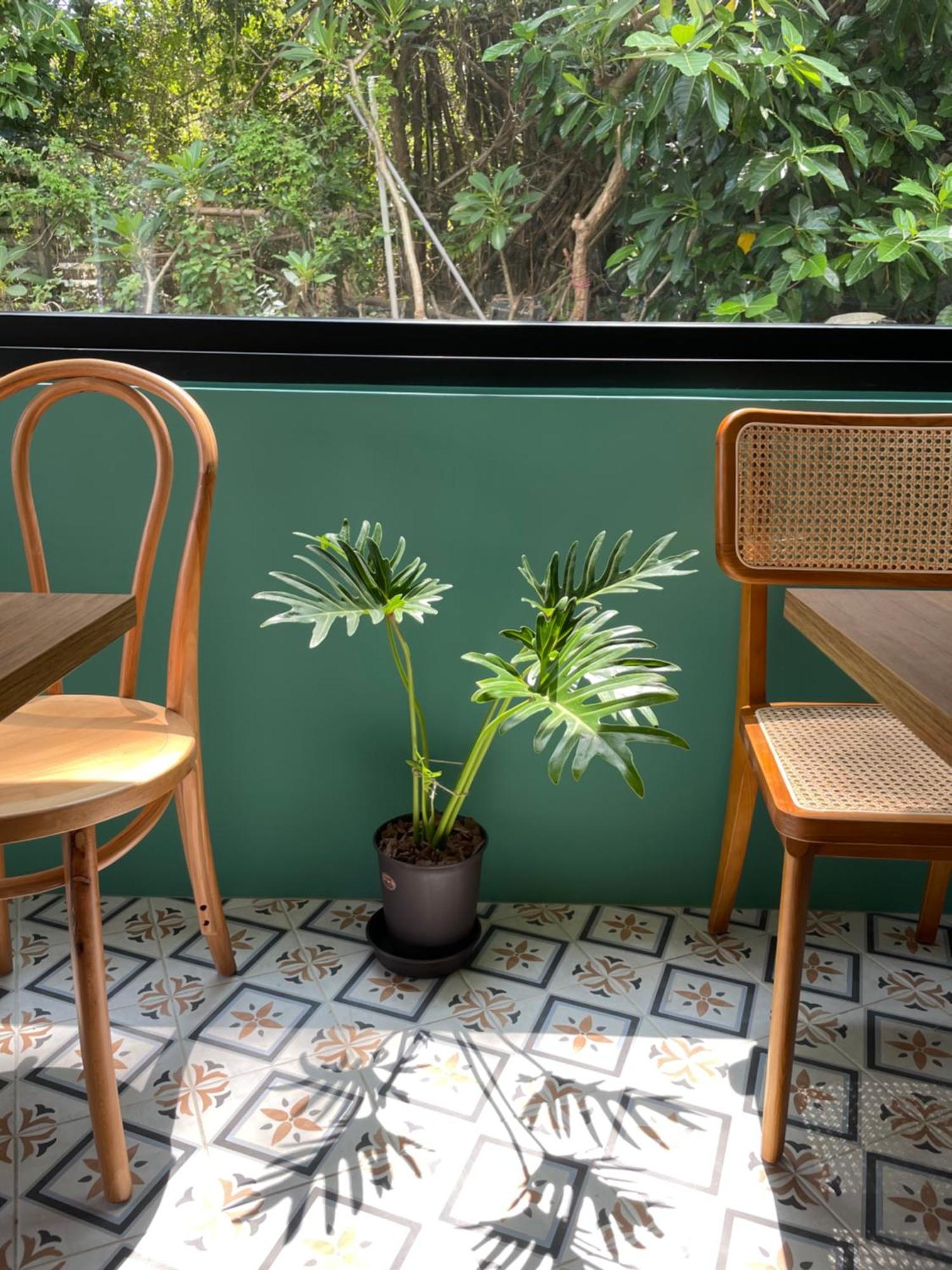 Lixia Hostel Đảo Tiểu Lưu Cầu Ngoại thất bức ảnh